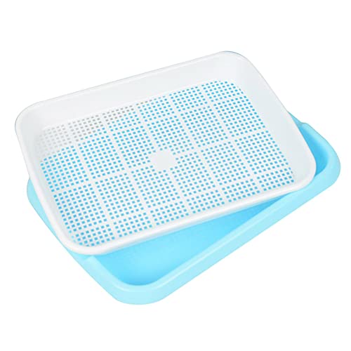 NA Seed Sprouter Tray Keimschale Sprossen Sämlinge Weizen Grassierer Pflanzer Hydroponics Dauerhaft Samen Keimung Tablett für Garten Home Office von N\A