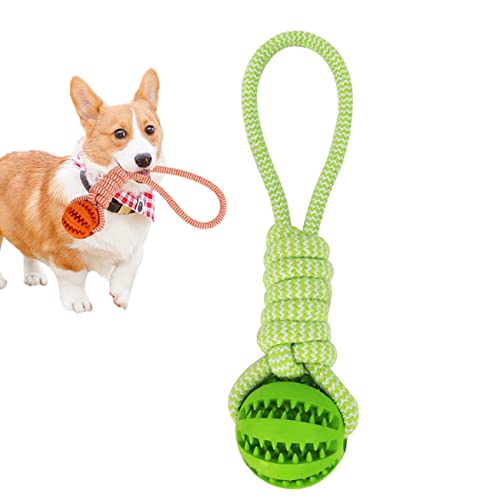 Tianyis Hundespielzeug, Wurfball Hund, Hundeball,Hundespielzeug Ball mit Schnur für Hunde, Hunden Ball aus Natur-Gummi, Hundeerziehungs Spielzeug für Apportieren, Fangen, Werfen, Tauziehen von Tianyis