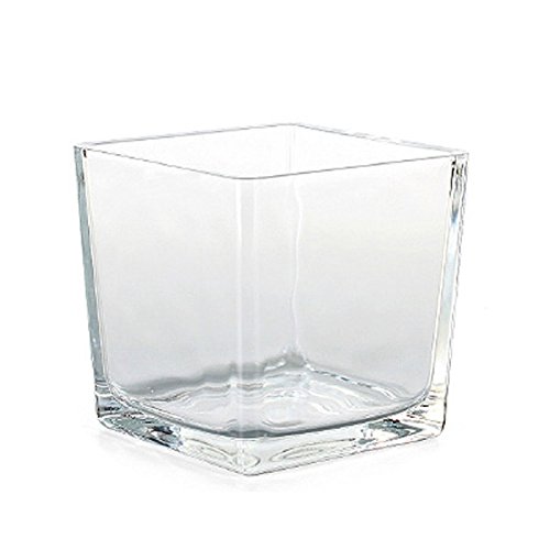 N/A Glas Würfel 10cm klar eckig Pflanzgefäß Pflanztopf Topf Vierkantgefäß Blumentopf von n.a.
