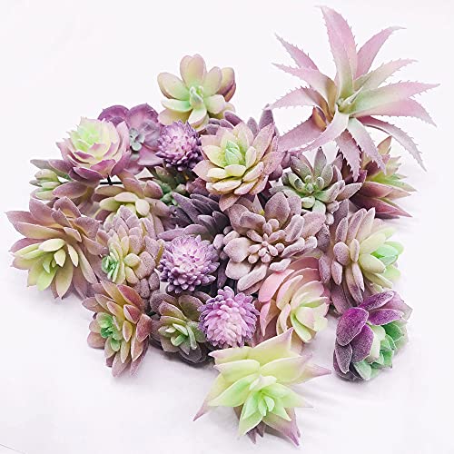 Woohome 25 Stück Künstliche Sukkulenten Lila Unfotted Faux Blume Sukkulenten Sukkulenten Künstlich Gemischt für Zuhause Indoor Fairy Garden Dekorationen von Woohome