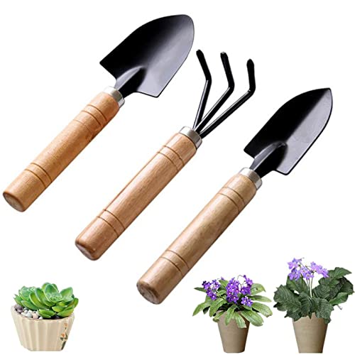 3 Stücke Mini Pflanze Gartengeräte Set,Set Gartengeräte,Schaufel-Mini-Pflanzset,Mini Spaten Schaufel Rechen,Mini Holzgriff Eisen Gartenwerkzeug Set,für Pflanze Topfblumen,Sämlinge,Pflanze Lose Boden von N\O