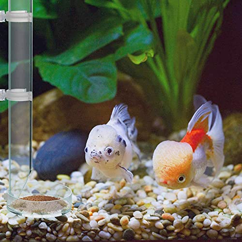 Feeder Tube Shrimp Aquarium Shrimp Feeder Tube und Tray Acryl Feeder Tube Garnelenfutter Aquarium Futterspender mit Saugnäpfen Crystal Shrimp Feeder Ernährungssonde für Garnelen Fische Krabben 25cm von HomeDejavu