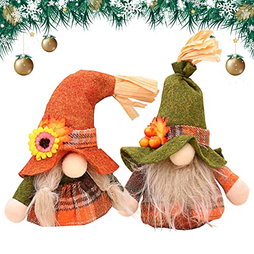 Qazuwa Zwerg Puppe Deko Wichtel Süß Plüsch Dekorationen 2PCS Thanksgiving Herbst GNOME Plüsch Ornamente Bauernhaus Weihnachtsfiguren Oster Geschenk Für Home Wohnzimmer Schaufenster Geburtstag von N\O