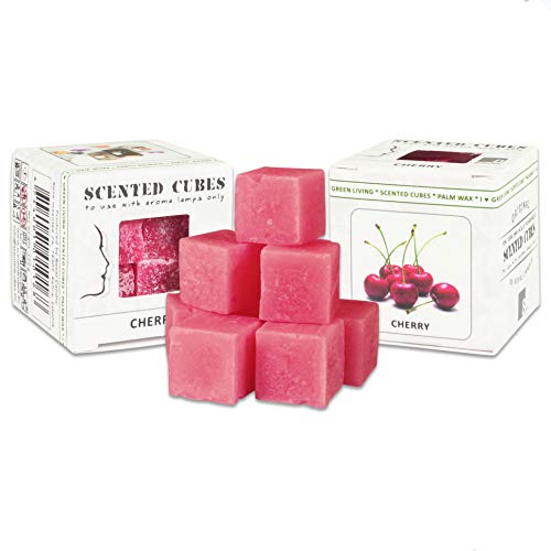 Duftwachs Aroma Würfel für Keramik-Verdunster | Palmöl | Scented Cubes | 3x8 Duftwürfel PACK (24 Miniwürfel) in verschiedenen Düften | Duftkerze | Duft Würfel für Teelicht (Kirsche) von N/V