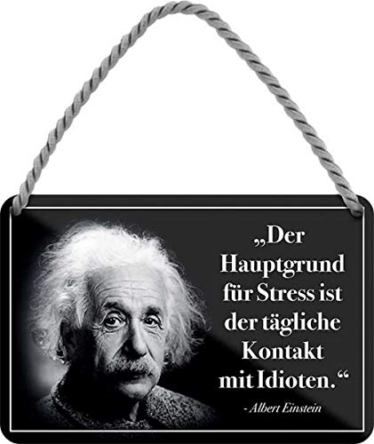 WOGEKA ART Retro Blechschild - Albert Einstein Hauptgrund für Stress sind Idioten - witziger Spruch Geschenk-Idee Geburtstag Weihnachten Dekoration 18x12 cm Vintage-Design Hänge-Schild HS464 von WOGEKA ART