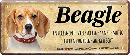 Beagle Hund Steckbrief Dog 28 x 12 cm Deko Spruch Blechschild Blech 1291 von WOGEKA ART