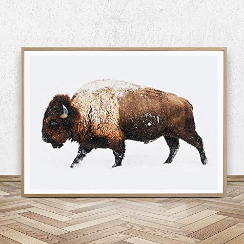 N / A Dekorative Drucke aus Leinwand Buffalo Print Bison Große Wandkunst Leinwand Gemälde Bild Bauernhaus Dekor Tier Poster Wohnzimmer Jungen Schlafzimmer Dekoration-40x60cm von N / A