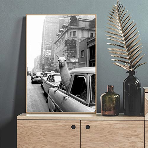 N / A Dekorative Drucke aus Leinwand Lustige Leinwand Malerei Alpaka Lama in einem Taxi Tier druckt Poster Wandkunst Bilder für Kinderzimmer Schlafsaal-50x70cm N / A Dekorative Drucke aus Leinwand Lustige Leinwand Malerei Alpaka Lama in einem Taxi Tier druckt Poster Wandkunst Bilder für Kinderzimmer Schlafsaal-50x70cm von N / A