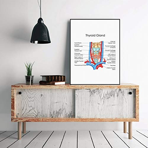 N / A Dekorative Drucke aus Leinwand Menschliche Anatomie Schilddrüse Diagramm Drucke Arztpraxis Wandkunst Poster Dekor Medizinische Ausbildung Diagramm Biologie Leinwand Malerei-60x80cm N / A Dekorative Drucke aus Leinwand Menschliche Anatomie Schilddrüse Diagramm Drucke Arztpraxis Wandkunst Poster Dekor Medizinische Ausbildung Diagramm Biologie Leinwand Malerei-60x80cm von N / A