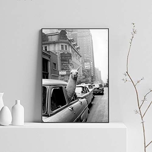 N / A Dekorative Drucke aus Leinwand Vintage Lama Poster Schwarz Weiß Alpaka im Taxi Leinwand Kunstdruck Wandmalerei Dekoration Bild Modernes Wohnzimmer Dekor-40x60cm von N / A