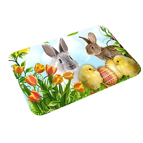 Ostern Fussmatten FußMatte Frühling Häschen Gnom Tür Matte,Sayla 60x40 cm HaustüR Feuchtigkeitsaufnahme Türmatte Fußabtreter Fußmatte,Sauberlaufmatte Teppich Wohnkultur Heimdekoration Bodenmatte von N / C