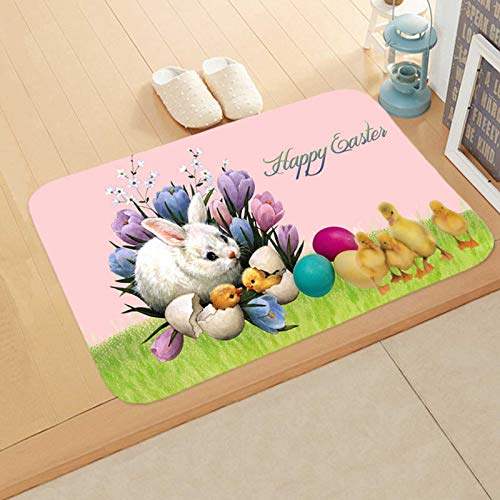 Ostern Fussmatten FußMatte Frühling Häschen Gnom Tür Matte,Sayla 60x40 cm HaustüR Feuchtigkeitsaufnahme Türmatte Fußabtreter Fußmatte,Sauberlaufmatte Teppich Wohnkultur Heimdekoration Bodenmatte von N / C