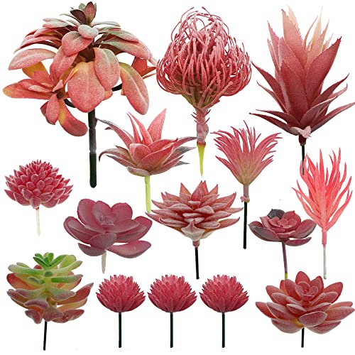 Cayway 15 Stück Künstliche Sukkulenten Rot Unfotted Faux Blume Sukkulenten Sukkulenten Künstlich Gemischt für Zuhause Indoor Fairy Garden Dekorationen von Cayway