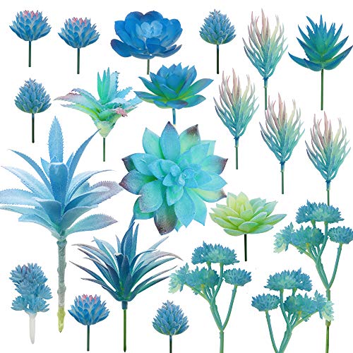 Cayway 20 Stück Künstliche Sukkulenten Mischfarben Unfotted Faux Blume Sukkulenten Künstlich Gemischt für Zuhause Indoor Fairy Garden Dekorationen von Cayway