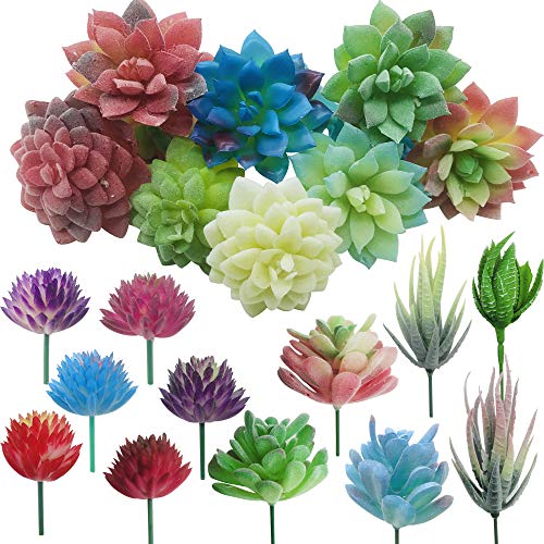 Cayway 20 Stück Künstliche Sukkulenten Mischfarben Unfotted Faux Blume Sukkulenten Künstlich Gemischt für Zuhause Indoor Fairy Garden Dekorationen von Cayway