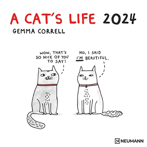 A Cat's Life 2024 - Wand-Kalender - Broschüren-Kalender - 30x30 - 30x60 geöffnet - Katzen - Cartoon von N NEUMANNVERLAGE