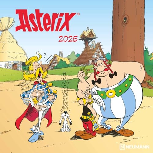 N NEUMANNVERLAGE - Asterix 2025 Broschürenkalender, 30x30cm, Wandkalender mit lustigen Asterix-Illustrationen, internationalen Feiertagen und Mondphasen, viel Platz für Notizen von N NEUMANNVERLAGE
