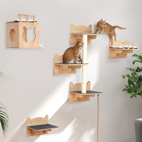 Kletterwand Katzen Set aus Kiefernholz, Katzenregalen und Sitzstangen für Wände, Verbessertes Sicherheitsdesign mit rutschfesten Brettern und doppelt verstärkten tragenden Holzpaneelen. von N NORA TWIPS