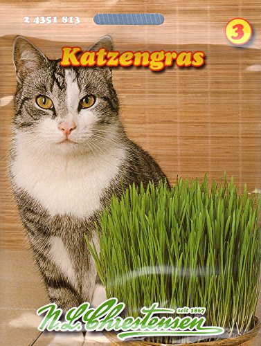 Katzengras Saatmischung von unbekannt
