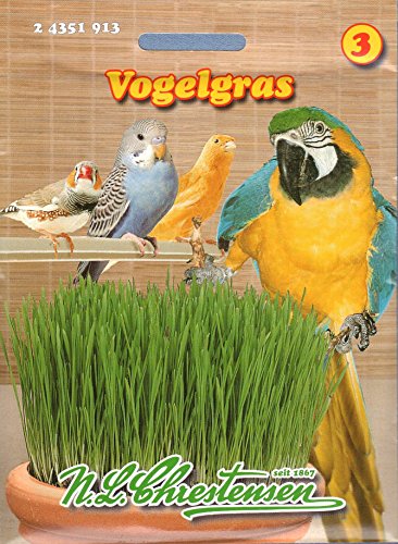 Vogelgras Saat Vogelgras Saat von Chrestensen