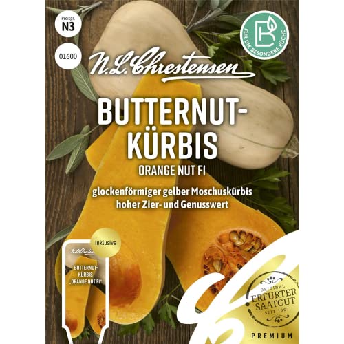 Butternutkürbis Orange Nut F1, glockenförmiger gelber Moschuskürbis, Samen von N.L. Chrestensen