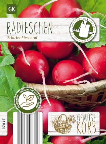 Chrestensen Gemüsekorb Radieschen 'Erfurter Riesen' rot, sehr große Knollen, kräftiger und würziger Geschmack, Radies von N.L. Chrestensen