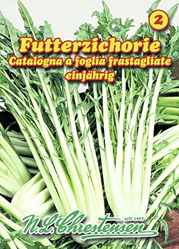 Futterzichorie N.L.Chrestensen Samen 28070113 von N.L. Chrestensen