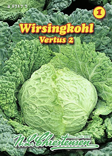 N.L. Chrestensen 417177 Wirsingkohl Vertus 2 (Wirsingkohlsamen) von N.L. Chrestensen