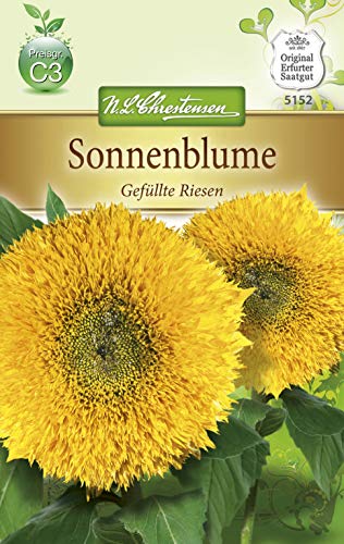 N.L. Chrestensen 5152 Sonnenblume Gefüllte Riesen (Sonnenblumensamen) von N.L. Chrestensen