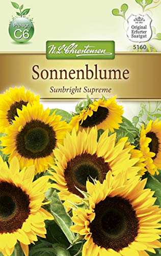 N.L. Chrestensen 5160 Sonnenblume Sunbright Supreme (Sonnenblumensamen) von N.L. Chrestensen