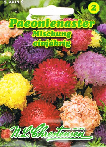 Paeonienaster-Mischung Callistephus chinensis Astern von N.L. Chrestensen