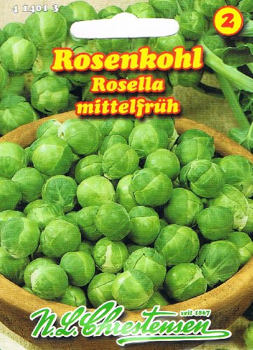 Rosenkohl Rosella mittelfrüh von N.L. Chrestensen