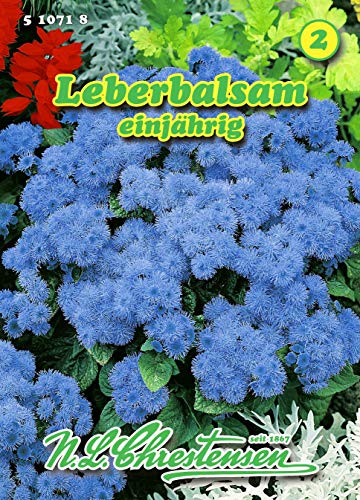 Ageratum houstonianum, Leberbalsam N.L.Chrestensen Samen 510718-B von N.L.Chrestensen