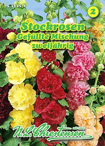 Alcea rosea, Stockrosen, Gefüllte Mischung N.L.Chrestensen Samen 511251-B Alcea rosea, Stockrosen, Gefüllte Mischung N.L.Chrestensen Samen 511251-B von N.L.Chrestensen