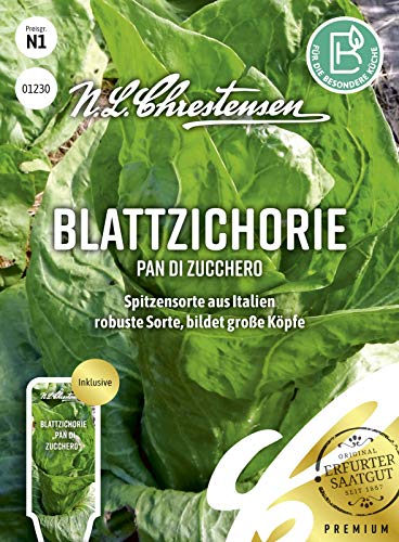 Blattzichorie Pan di zucchero N.L.Chrestensen Samen 1230 von N.L.Chrestensen