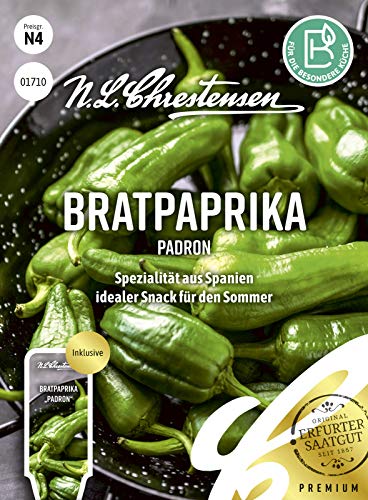 Bratpaprika Padron, Spezialität aus Spanien, Samen Bratpaprika Padron, Spezialität aus Spanien, Samen von N.L.Chrestensen