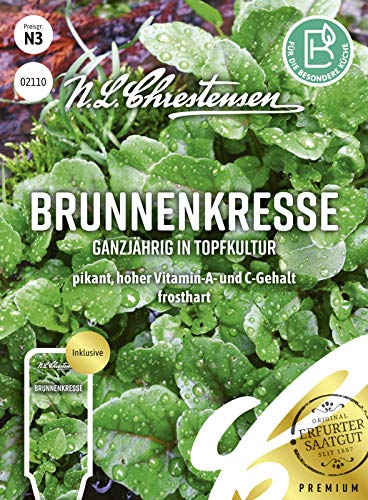 Brunnenkresse Ganzjährig in Topfkultur Samen, Saatgut von N.L.Chrestensen