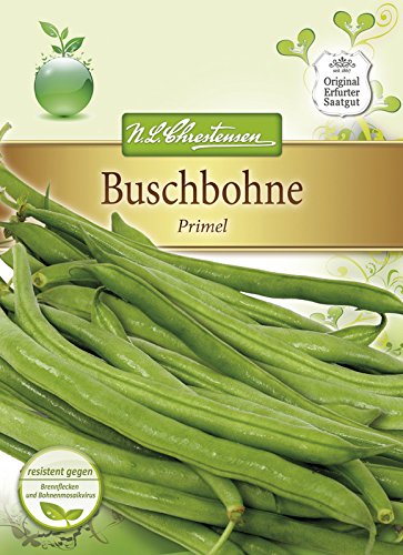 Buschbohne 'Primel' - Saat, frühe Sorte, ohne Fäden von N.L.Chrestensen