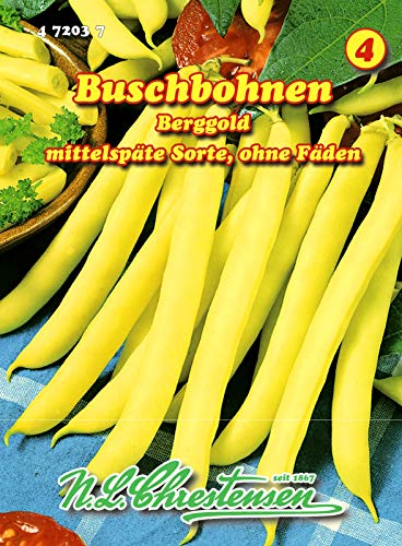 Buschbohnen, Berggold mittel, gelb, ohne Fäden N.L.Chrestensen Samen 472037-B Buschbohnen, Berggold mittel, gelb, ohne Fäden N.L.Chrestensen Samen 472037-B von N.L.Chrestensen