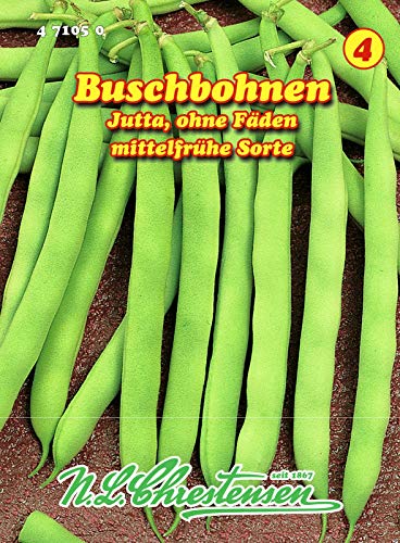 Buschbohnen, Jutta mittelfrüh, grün, ohne Fäden N.L.Chrestensen Samen 471050-B von N.L.Chrestensen