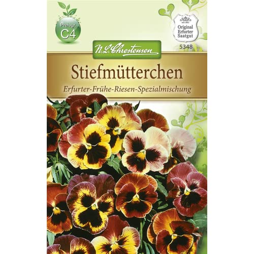 Chrestensen Stiefmütterchen 'Erfurter-Frühe-Riesen-Spezialmischung' von N.L. Chrestensen