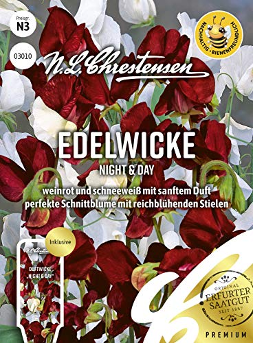 Edelwicke Night & Day N.L.Chrestensen Samen 3010 von N.L.Chrestensen