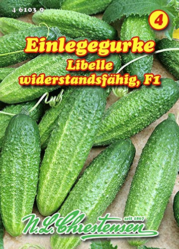 Einlegegurke, Libelle, N.L.Chrestensen Samen 461039-B von Chrestensen