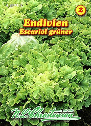 Endivien, Escariol grüner, Winterendivie N.L.Chrestensen Samen 441011-B von N.L.Chrestensen