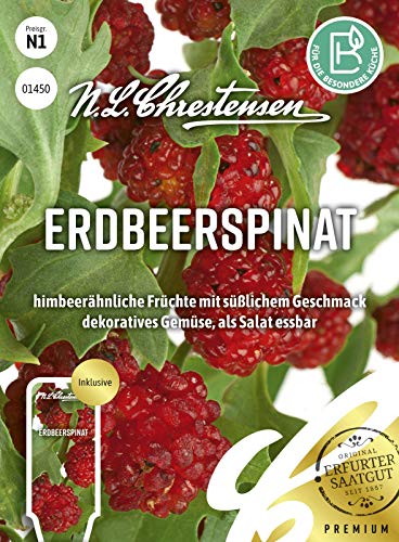 Erdbeerspinat N.L.Chrestensen Samen 1450 von Chrestensen