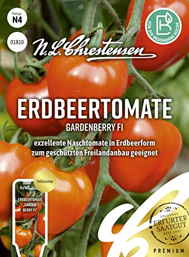 Erdbeertomate Gardenberry F1 Samen, Saatgut von N.L.Chrestensen