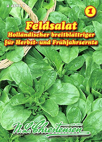Feldsalat, Holländischer breitblättriger N.L.Chrestensen Samen 443811-B von N.L. Chrestensen