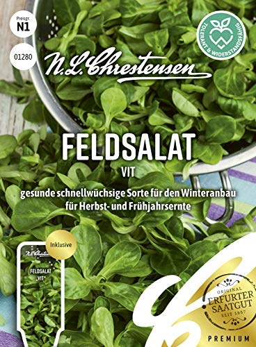 Feldsalat Vit Samen, Saatgut von N.L.Chrestensen