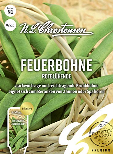 Feuerbohne Rotblühende N.L.Chrestensen Samen 2510 Feuerbohne Rotblühende N.L.Chrestensen Samen 2510 von N.L.Chrestensen