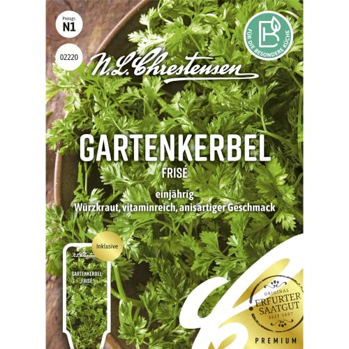 Gartenkerbel Frisé, einjährig, Samen Gartenkerbel Frisé, einjährig, Samen von Chrestensen